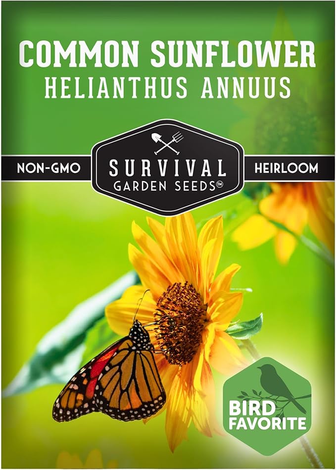 Common Sunflower (Helianthus annuus) Seeds for Planting | Giant Bird & Pollinator Magnet | Fast-Growing Native Wildflower - Survival Garden Seeds - 1 Pack
