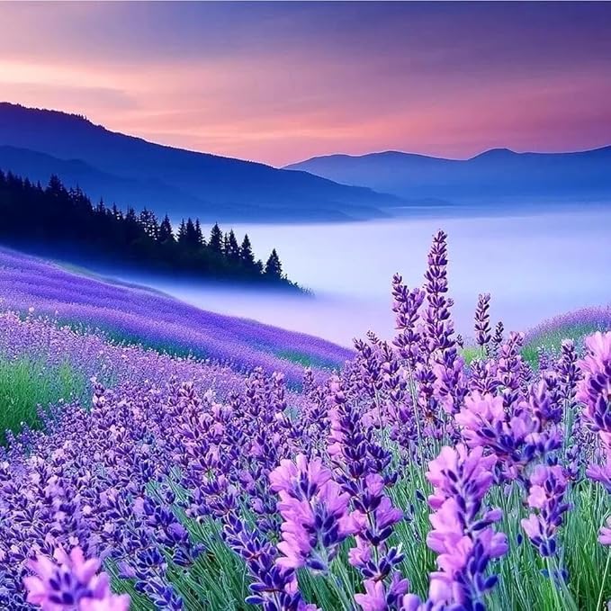 4005+ Mix Lavender Seeds for Planting - Delphinium Flower Seeds Non GMO Heirloom -Larkspur Seed Deer Resistant Wildflower Flower for Garden Outdoor