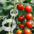 100pcs Tomato Clips for Climbing plants, Plastic Trellis Plant Support Clips for Garden, Reusable Clips for Supporting Grape Tomato Vine and Vegetables Plants to Grow Upright Makes Plants Healthier