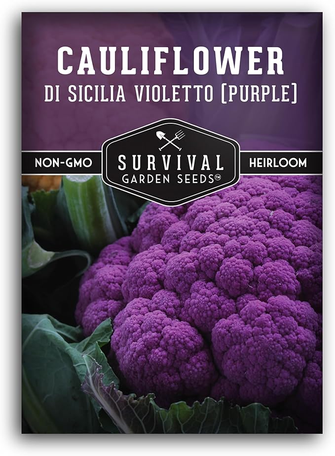 Purple Cauliflower Seeds for Planting – Violetto di Sicilia – Heirloom Italian Cauliflower Variety Producing Deep Violet Heads - Non-GMO, Open-Pollinated - Survival Garden Seeds (1 Pack)