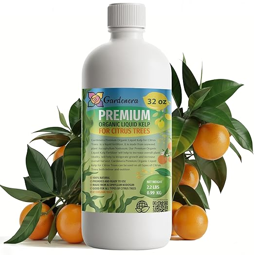 Citrus Tree Specific Organic Liquid Kelp Fertilizer by Gardenera - 32 oz - Maximize Citruses Growth and Fruit Development Naturally