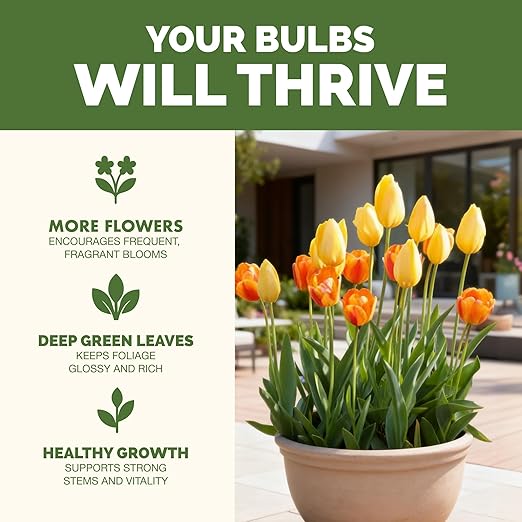 Bulb Fertilizer – Liquid Plant Food for Bigger Blooms & Stronger Bulb Development, 32 oz