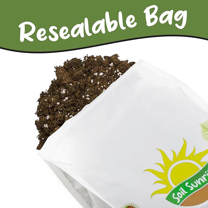 Soil Sunrise Fern Plant Potting Soil Mix (8 Quarts) Custom Hand Blended Mixture for Indoor/Outdoor Container Gardening