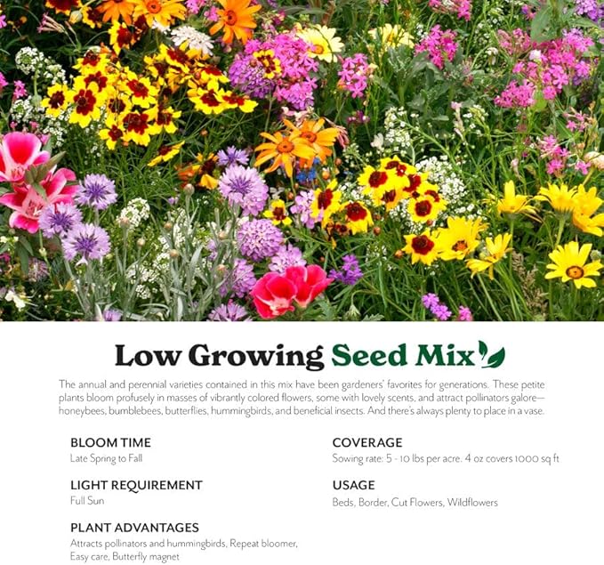 Grow Your Own Vibrant Annual and Perennial Wildflower Garden Seeds Mixture, Varieties for Pollinators and Spring Gardens - Low Growing Mix, 1 lb