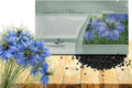 Outsidepride Jewels Indigo Nigella Seeds - 2000 Pcs Annual Flower Seeds for Planting with Vibrant Blooms & Lacy, Fern-Like Foliage, Attractive Cut Flower for Small Garden Spaces & Floral Arrangements