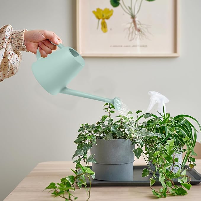 Indoor and Outdoor Watering Can - Long Spout -1/2 Gallon (64oz) - Light Green