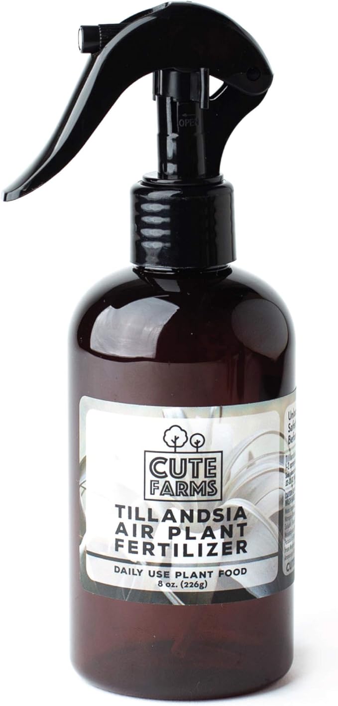 Cute Farms Tillandsia Air Plant Fertilizer | Gentle Daily Use Formula Plant Food | Formulated Nutrients for Air Plants (8 oz. Spray Bottle + ONE Fine Mist Water Sprayer)
