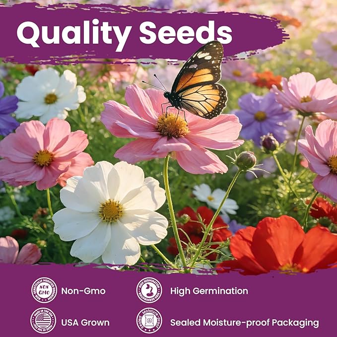 Cosmos Seeds Mix, 1 Ounce Over 5000+ Crazy Blend Cosmo Flowers Seed for Planting, Open Pollinated, Non-GMO, Heirloom Crazy Cosmos Seeds for 2026