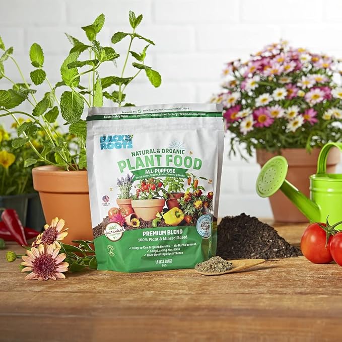 Back to The Roots All-Purpose Plant Food - Organic, Sustainably-Made for Indoor Plants with Kelp and Alfalfa Meal, Mycorrhizae, and Rock Phosphate Minerals - 1.5 lb Premium Blend