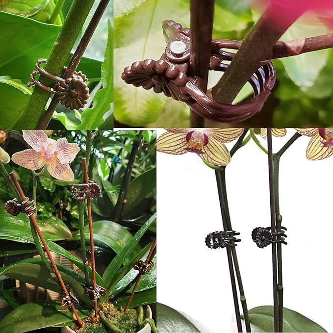 Plant Support Clips Reusable Garden Clips,100Pcs Medium Plant Clips,Tomato Support Clips,for Climbing Plants,Outdoor,Indoor Plants,Flowers,Stems,Vines Holding Clips (Brown)