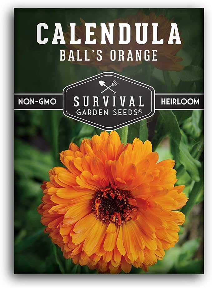 Ball’s Orange Calendula Seeds for Planting – Medicinal Herb & Edible Flower with Bright Orange Blooms – Heirloom Pot Marigold for Skin Care & Teas – Survival Garden Seeds (1 Pack)