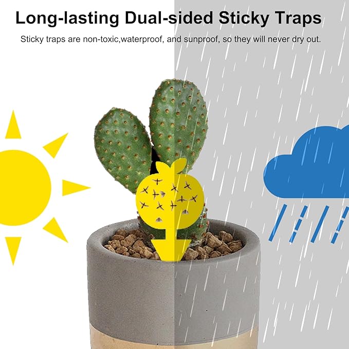 36PCS Fruit Fly Sticky Traps Fungus Gnat Traps Insect Trap for Plants Kitchen Indoor Outdoor White Flies Mosquitos Fungus Gnats Flying Insects Houseplant Gifts (Apple Shape)