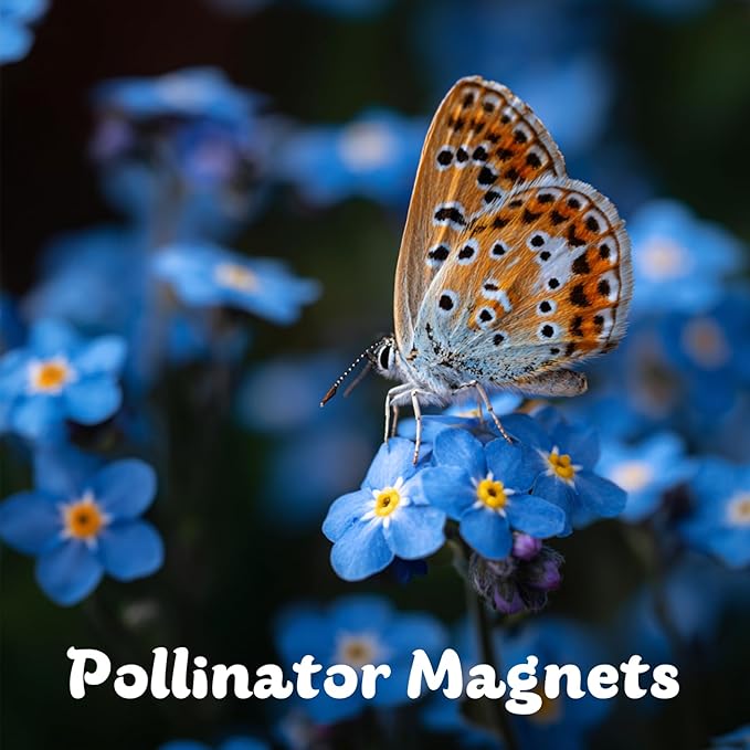 Forget Me Not Seeds 5500 Flower Seeds Forget-Me-Not Seed Packet Collection Forget-Me-Not Seeds for Planting Easy to Grow, Ground Cover Use, Perfect for Borders and Containers (Forget Me Not)