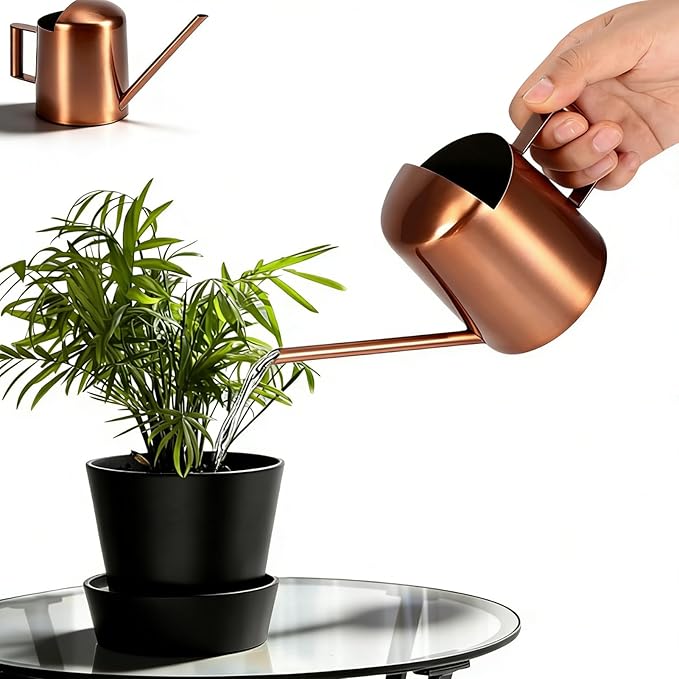 10oz/300ml Watering Can Indoor Plants, Long Spout Small Watering Sprinkling Pot Mini Stainless Steel Water Can Garden Water Pot for Indoor House Plants Bonsai
