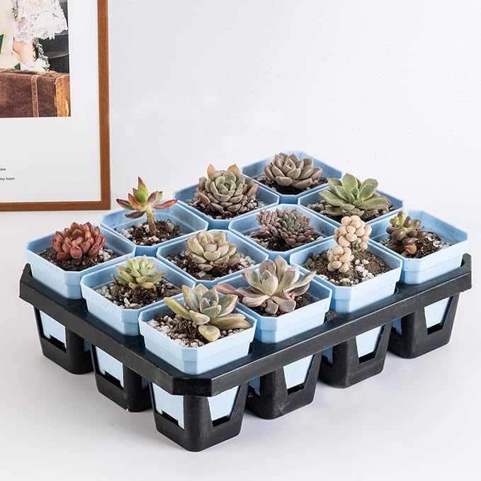 foxany 3" Plants Nursery Pot, 30 Pcs Thick Plastic Square Flower Planting Pots, Plant Seedling Pots, 30 Seed Starting Pots with 30 Saucers -Blue
