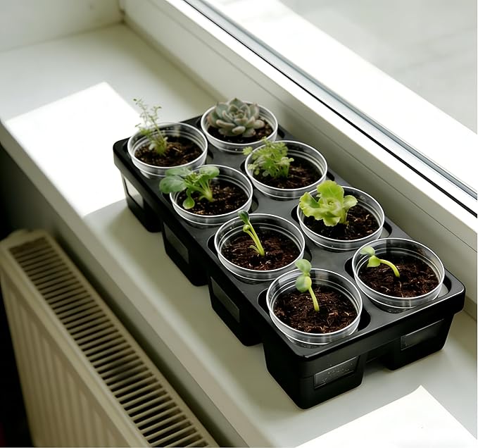8 Cell Nursery Pot Trays 10 Pack (12"x6"x2") with 2.5 inch (6.5CM) Round Seedling Pots 80pcs (Clear), Plastic Seed Starter Tray with Removable Drain Holes for Carrying and Holding Plant Pot