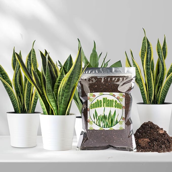 Doter Premium Snake Plant Soil Mix 10qt, Indoor Plants Potting Mix for All Potted Snake Plants, Promote Healthy Growth and Easy Care, black