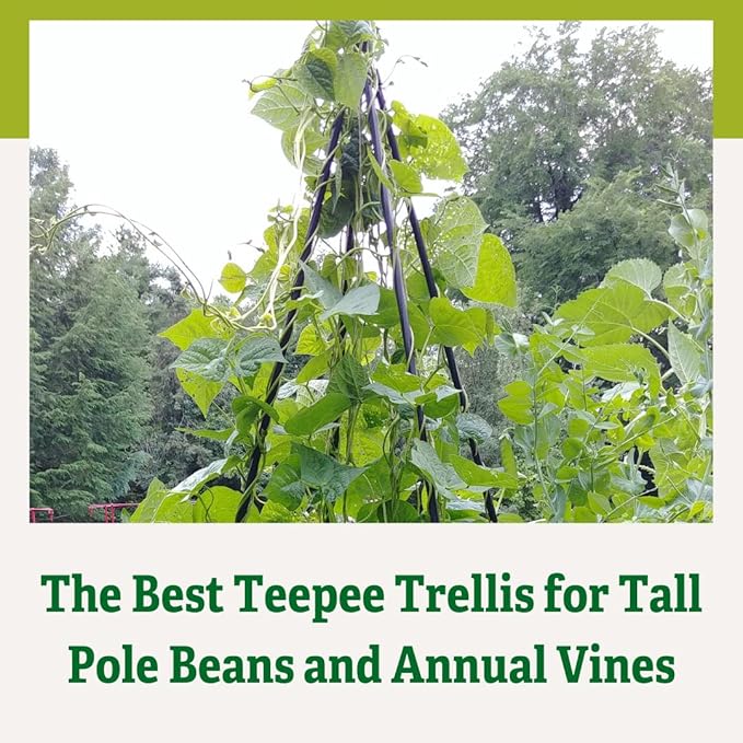 Gardeners Supply Company Extra Tall Garden Teepee Trellis | Sturdy Plant Support for Peas, Beans, Squash, and Other Garden Climbing Vine Plants | Quick and Easy Setup - 87" H