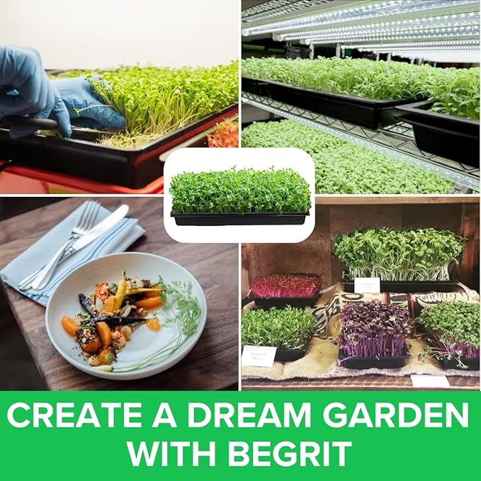 BeGrit 1010 Growing Trays Extra Strength Seed Tray 10" x 10" Without Drain Holes for Seedling Starter Microgreens Wheatgrass Fodder Hydroponic 5-Pack Black