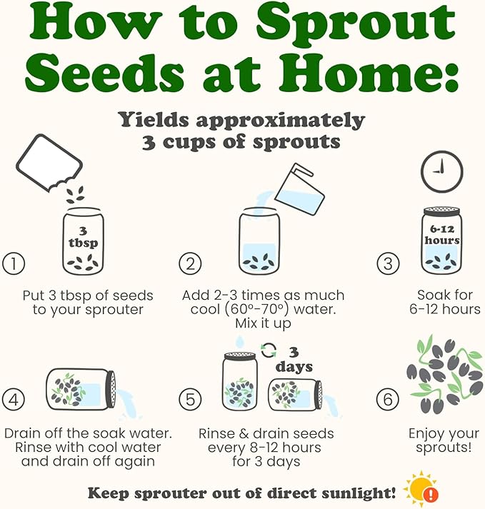 Food to Live - Antioxidant Mix of Sprouting Seeds, 5 Pounds — Broccoli, Clover, Alfalfa, Kosher, Raw, Vegan
