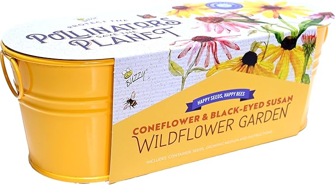 Buzzy Seeds Wildflower Garden Grow Kit, All-in-One Indoor Seed Starter Set with Non-GMO Mix of Coneflowers and Black Eyed Susans with a Decorative Planter - Great Gift for Gardeners, Gardening Project