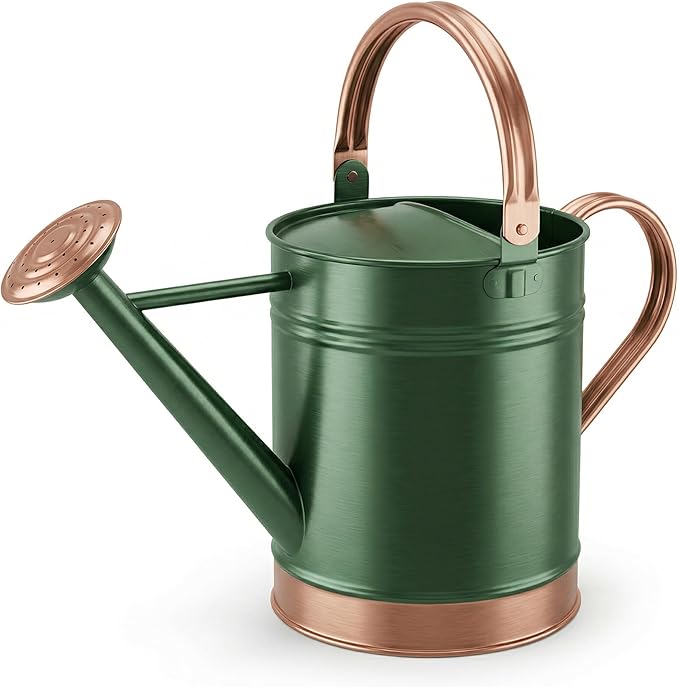 Gardenised 1 Gallon Galvanized Metal Watering Can with Removable Long Spout & Sprinkler Head for Indoor & Outdoor Use Ideal for Garden Flowers Plants Houseplants Modern Home Accessories, Green/Copper