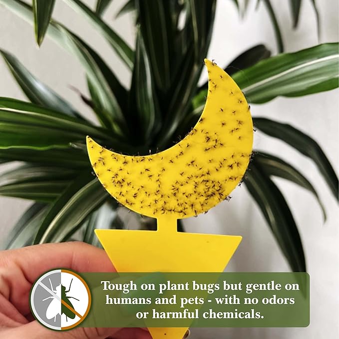 Classy Casita Plant Care Bundle: Soil Moisture Meter - White, 3-in-1 Garden Soil Tester - White, 24-Pack Plant Sticky Traps, for Indoor & Outdoor Plants w/Plant Watering & Care eBook
