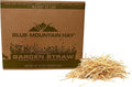 Blue Mountain Hay Organic Garden Straw (25 lb) - Natural Mulch for Gardening, Flower Beds & Landscaping, New Lawn Grass Seeding, Compost, Raised Garden Bed, Cat Grass & Grass Seed