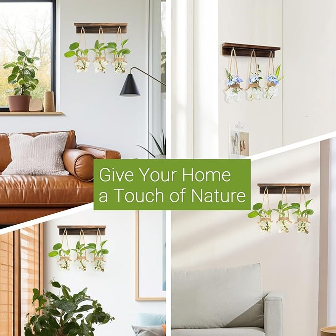 XXXFLOWER Wall Hanging Propagation Station with 3 Star-Shaped Glass Vase, Plants Propagation Stations for Hydroponics Living Room Office Decoration,Unique Gardening Gifts for Plant Lover