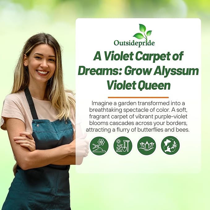 Outsidepride Violet Queen Alyssum Seeds - 5000 Pcs Annual, Drought-Tolerant & Pollinator-Friendly Ground Cover Seeds w/Fragrant Purple Blooms for Low-Growing Xeriscaping & Outdoor Planting