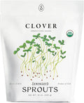 Organic Clover Sprout Seeds (16 oz) – Non-GMO, Heirloom Seeds for Sprouting and Microgreens