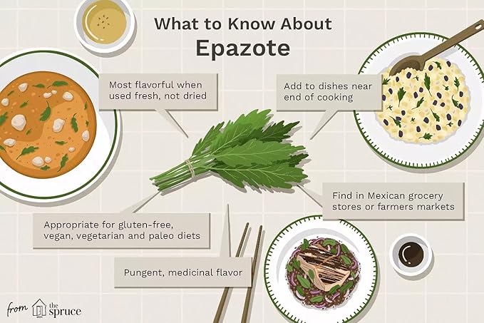 Live Epazote Plant/Mexican Tea. Year's Supply. Family+Friends Pack. Helps Immunity, Digestion, Metabolism. Flavorful, Pungent, Fresh, Edible. Easy Grow. Indoor/Outdoor. (4 Epazote in Sac)