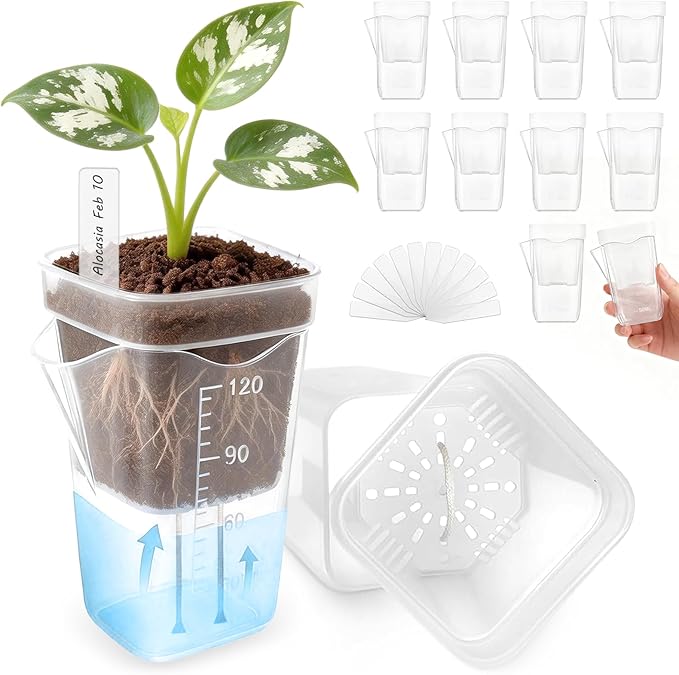 10 Pack 2" Mini Self Watering Pots for Indoor Plants, Clear Plastic Semi-Hydroponic Planter with Labels,Water Level for African Violet,Self Watering Pot for Propagation,Succulent,Seeding,Cutting