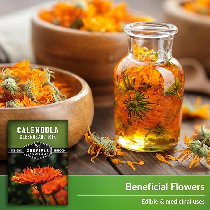 Greenheart Mix Calendula Seeds for Planting – Rare Heirloom Pot Marigold with Unique Green-Centered Blooms – Edible Flowers, Medicinal Herb, Pollinator Friendly – Survival Garden Seeds (1 Pack)