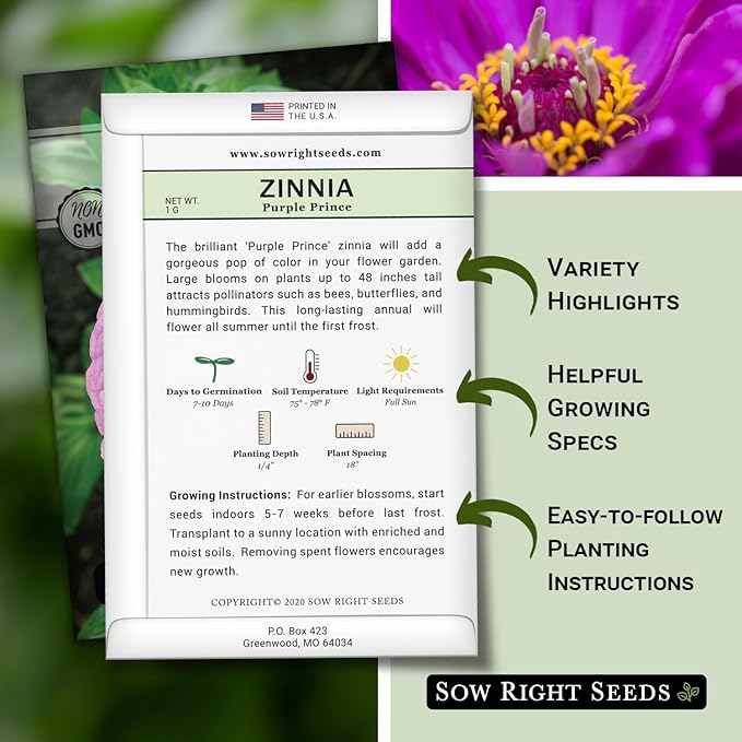 Sow Right Seeds - Purple Prince Zinnia Flower Seeds for Planting - Non-GMO Heirloom Seed - Heat & Drought Resistant - Huge Purple Blossoms - Beautiful to Plant in Your Garden - Cut and Come Again (2)