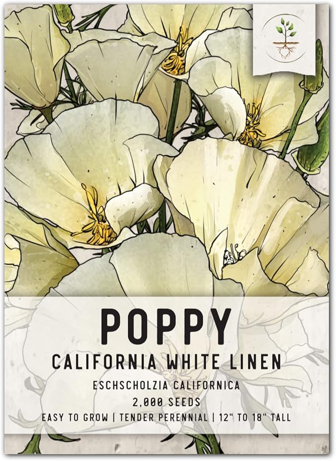 Seed Needs California Poppy Seeds for Planting White Linen Poppies - Heirloom & Open Pollinated Annual Wildflowers to Attract Pollinators to a Butterfly Garden (1 Pack)