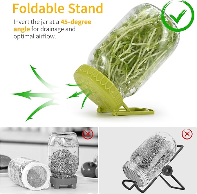 Complete Sprouting Kit - 2 Large Wide-Mouth Mason Jars 32 Oz, 2 Foldalbe Screen Lids with Draining Stand, 2 Metal Canning Lids, Bean Sprouts Grow Kit for Broccoli alfalfa