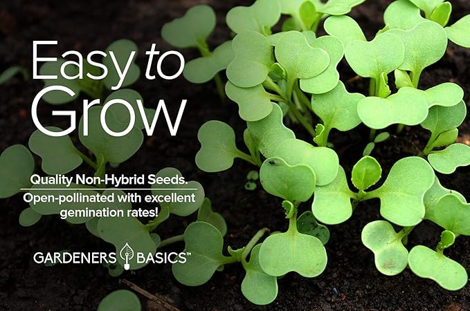 Gardeners Basics, Bok Choy Chinese Cabbage Seeds for Planting - (Pak Choi) Heirloom, Non-GMO Vegetable Variety- 1 Gram Seeds Great for Summer, Spring, Fall and Winter Gardens