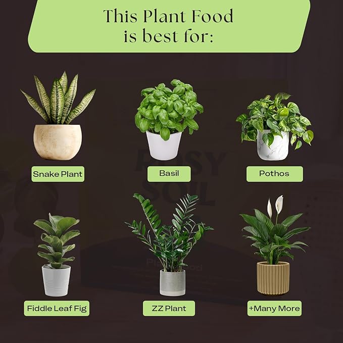 Rosy Soil Plant Food - Microbially Active Fertilizer for Houseplants, Herbs, Flowers – Enriched with Biochar, Kelp, and Worm Castings – Organic Food for Healthy Growth – 4 Quarts