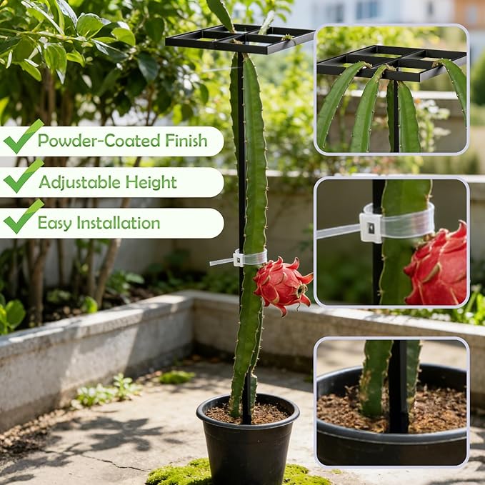 1 Pcs Dragon Fruit Trellis for Climbing Plants, Adjustable Metal Plant Trellis, Outdoor & Indoor Garden Trellis for Potted Plants, Vertical Support for Dragon Fruit, Cactus - Easy Assembly (1 Pack)