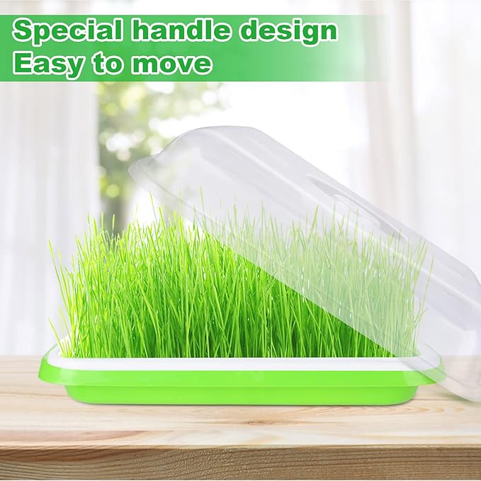 SHUESS 6 Pack Seed Sprouting Tray with Drain Holes BPA Free Nursery Tray Microgreens Growing Trays Wheatgrass Grower Sprouting Container Seed Germination Propagation Trays for Garden Home Office