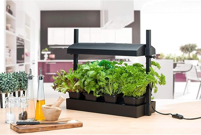 SunBlaster SL1600218 LED Indoor Micro Growlight Garden Home Growing Kit, Black