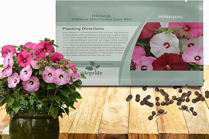 Outsidepride Luna Mix Hibiscus Seeds - 20 Pcs Perennial Flower Seeds for Planting Pollinator-Friendly, Large & Elegant Blooms with Dense Dark Green Foliage for Containers, Pots, & Garden Spaces