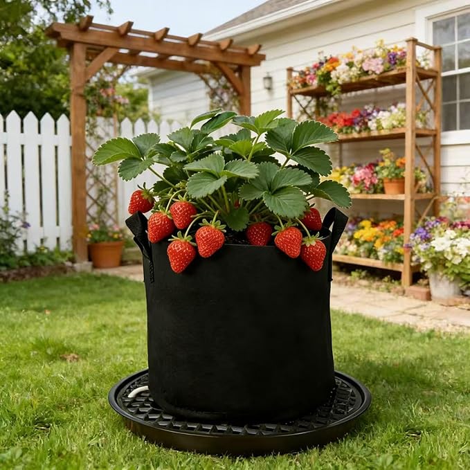 8 Pack 16 inch Self Watering Base for Fabric Grow Bag, Self-watering Plastic Elevated Plant Saucer Stand, Automatic Watering Tray for Non-woven Planter Flower Pot Growth Tent Greenhouse Indoor Outdoor