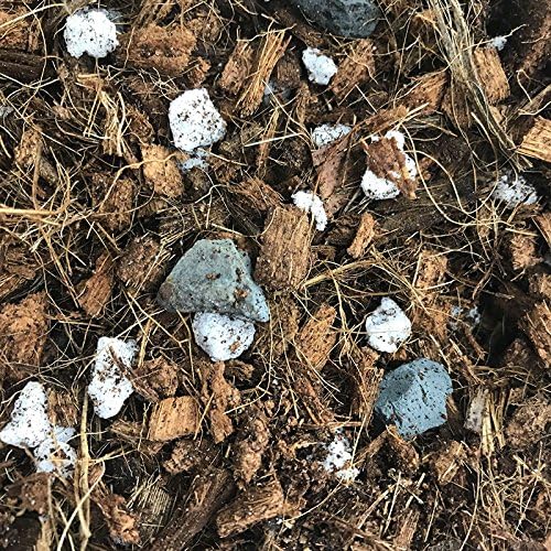 All Purpose Classic Orchid Potting Mix - (Mini Bag)
