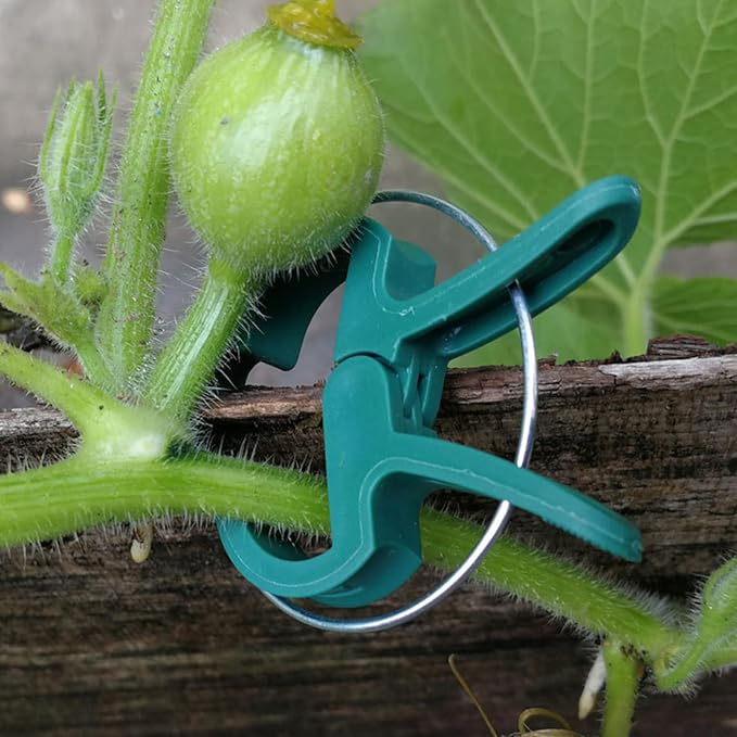 Plant Support Clips, 80 PCS Gentle Flower Plant Clamps for Supporting Vine Climbing Plants Plant Clips Garden Clips for Tomato Cage 2 Sizes in one Pack