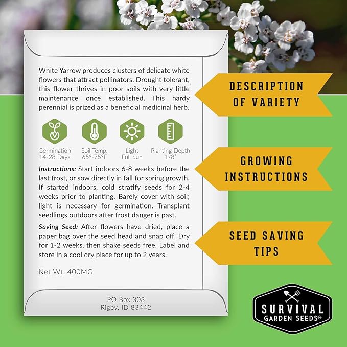 Yarrow Seeds for Planting - White Common Heirloom Medicinal Herb Seeds for Dye & Pollinator Gardens, Easy to Grow Perennial Flowers - Survival Garden Seeds (2 Packs)