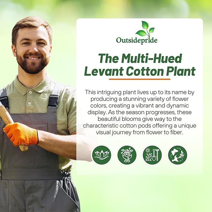 Outsidepride Levant Cotton Seeds - 200 Pcs. Perennial, Easy to Grow & Pollinator Friendly, Flower Seeds for Planting Showy, Vibrant Mixed Blooms with Cotton Pods for Shrub Gardens & Versatile Uses