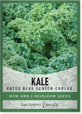 Gardeners Basics, Kale Seeds for Planting, Heirloom, Non-GMO Vegetable Variety - Great for Indoor, Outdoor, and Hydroponics Gardening (Vates Blue Scotch Curled)