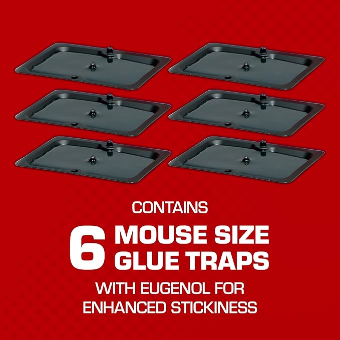 Tomcat Glue Traps Mouse Size with Eugenol for Enhanced Stickiness for Mice, Cockroaches, and Spiders, 6 Traps